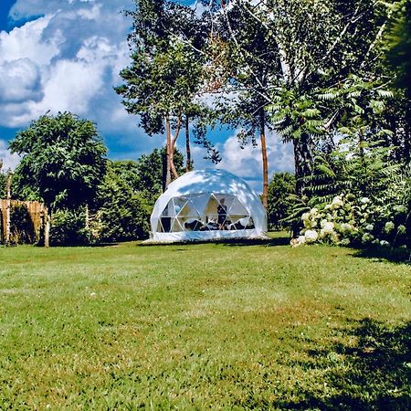 B Our Guest At Your Cozy Hideaway Dome Near Dresden Frauendorf  외부 사진